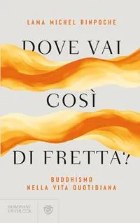 Copertina di Dove vai così di fretta?